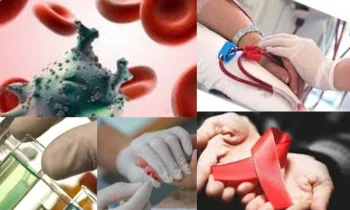 Hiv Hastalığı Nedir?